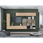 Стінка для вітальні Галатея Д / Galatea D/ДСП Дуб Рая Київський Стандарт