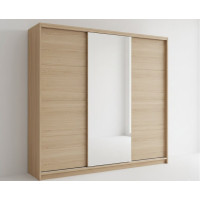 Шкаф-купе трехдверный два фасада ДСП одно зеркало 210х45х220 см. 