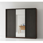 Трехдверный Шкаф-купе 210х45х240 см. зеркало два ДСП. тремпель