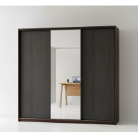 Тридверна Шафа-купе 210х45х240 см. дзеркало два ДСП. тремпель