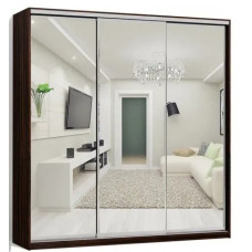 Шкаф-купе три фасада зеркало (труба) 210х60х220 см.